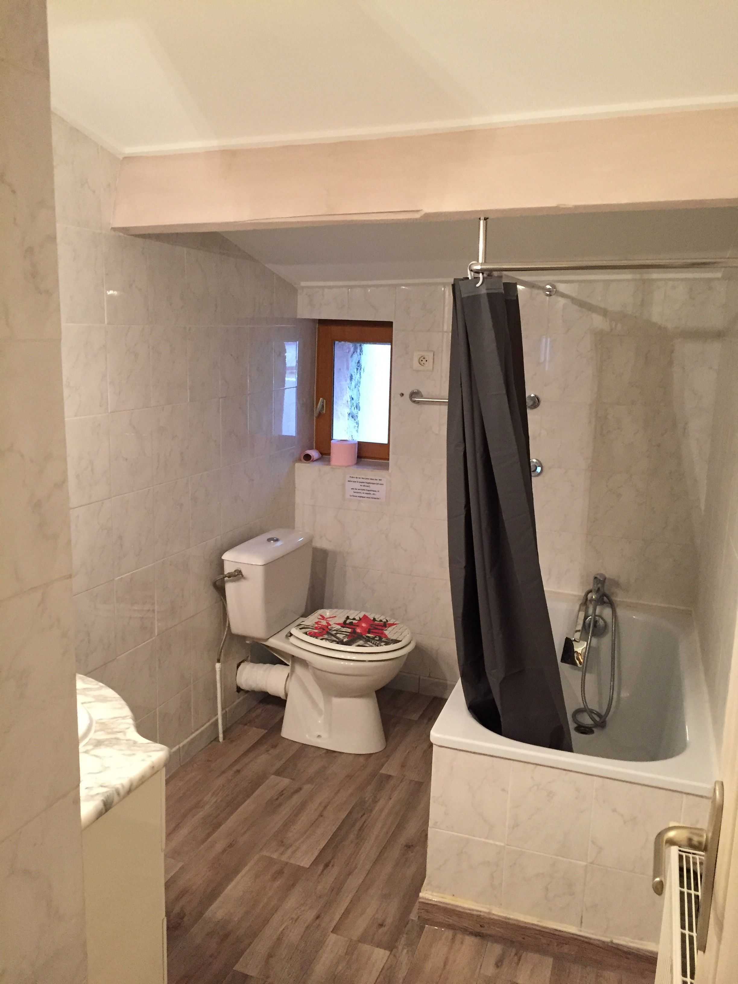 Un baño con inodoro, zona de ducha y ventana.
