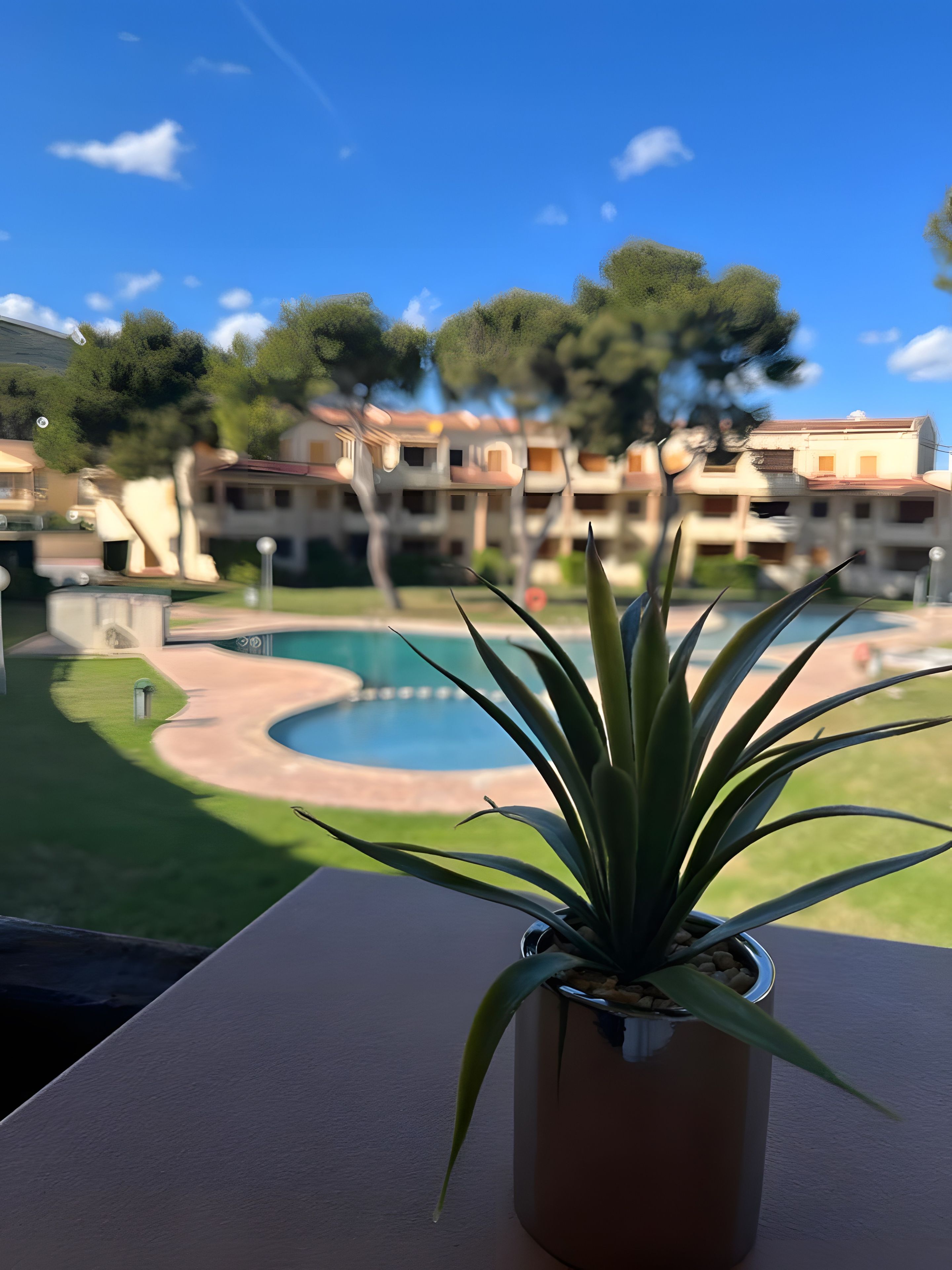 A potted plant on a balcony overlooking a swimming pool and a building with multiple balconies.