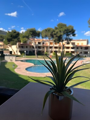 Ein Blumentopf auf einem Balkon mit Blick auf einen Swimmingpool und ein Gebäude mit mehreren Balkonen.
