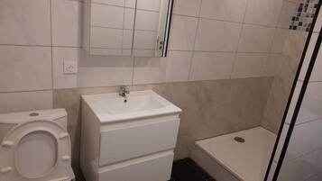 A bathroom with a toilet, a sink, and a shower stall.