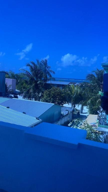 A view of a building with a blue roof, palm trees, and a clear sky.