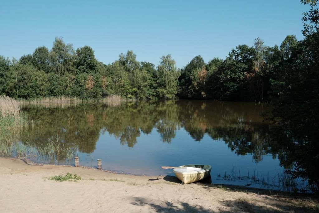 Un lago tranquilo con un bote en la orilla, rodeado de árboles frondosos.