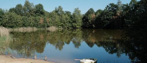 A calm lake with a boat on the shore, surrounded by dense trees.