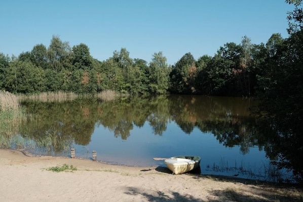 Un lago tranquilo con un bote en la orilla, rodeado de árboles frondosos.
