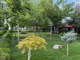 Un jardín ajardinado con diferentes árboles, rocas y un cielo despejado.