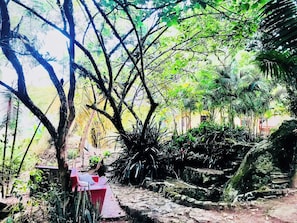 A natural outdoor area with trees, a stone pathway, and a red bench.