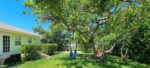 A residential property with a green lawn, a tree, and a hammock. - Hog Plum 3-bedroom 2 minute walk to the beach with Kayak and paddle board (Spanish Wells)