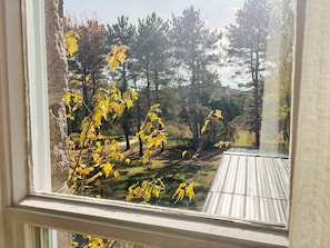 A view through a window of a wooden deck with a metal railing, surrounded by trees and a grassy area.
