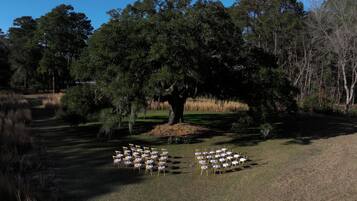 Un gran árbol rodeado de césped con hileras de sillas dispuestas para un evento.
