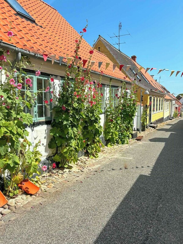 Une rangée de maisons traditionnelles aux toits recouverts de tuiles rouges, un ciel dégagé et une rue bordée de pavés.