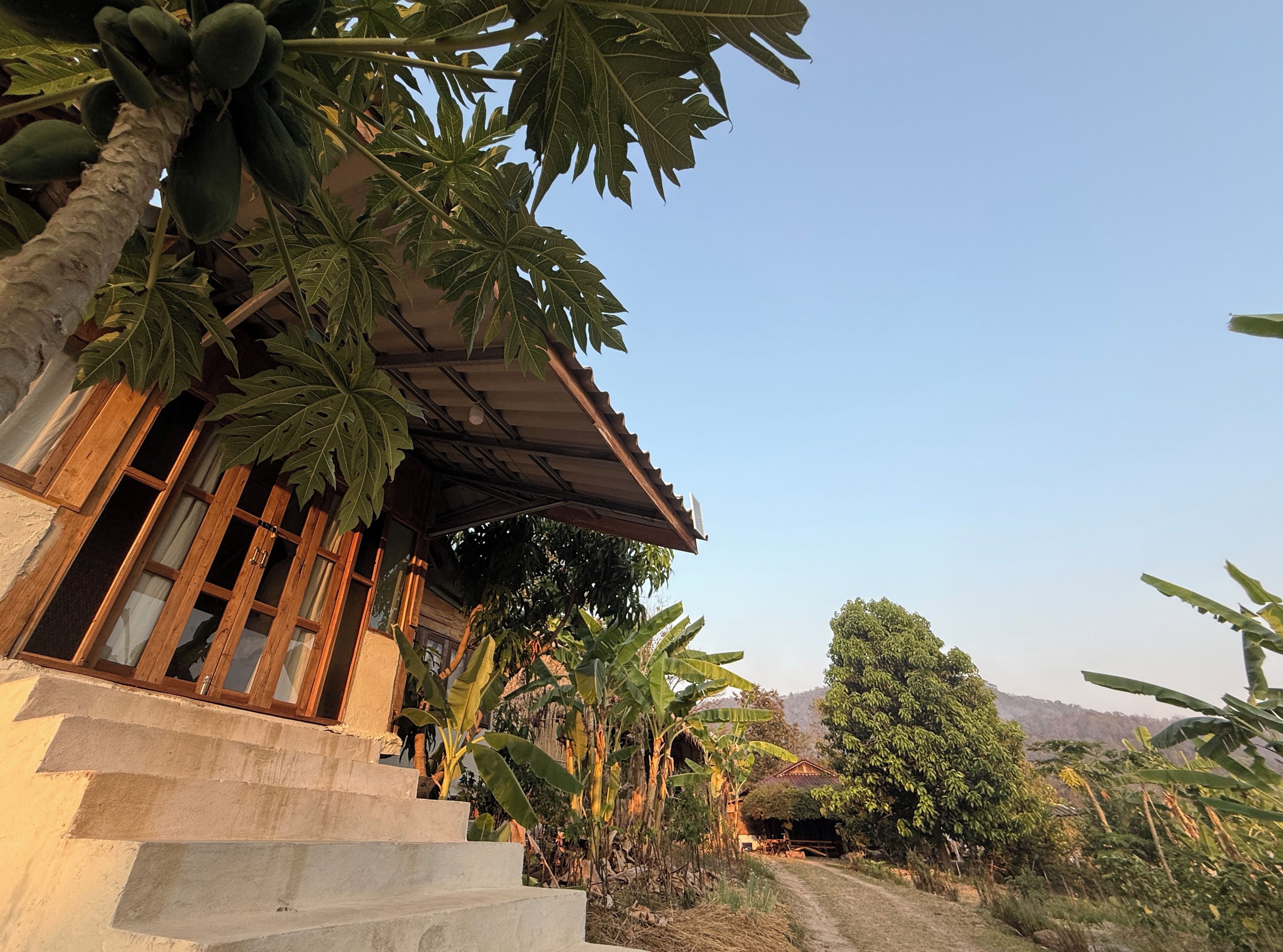 A traditional wooden house with a porch, surrounded by tropical vegetation.