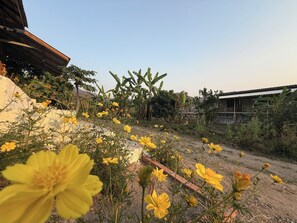 A rural landscape with yellow flowers, a dirt path, and a wooden structure.