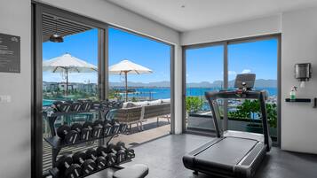 A modern gym with a treadmill, dumbbells, and exercise equipment, overlooking a scenic view of the sea and cityscape.