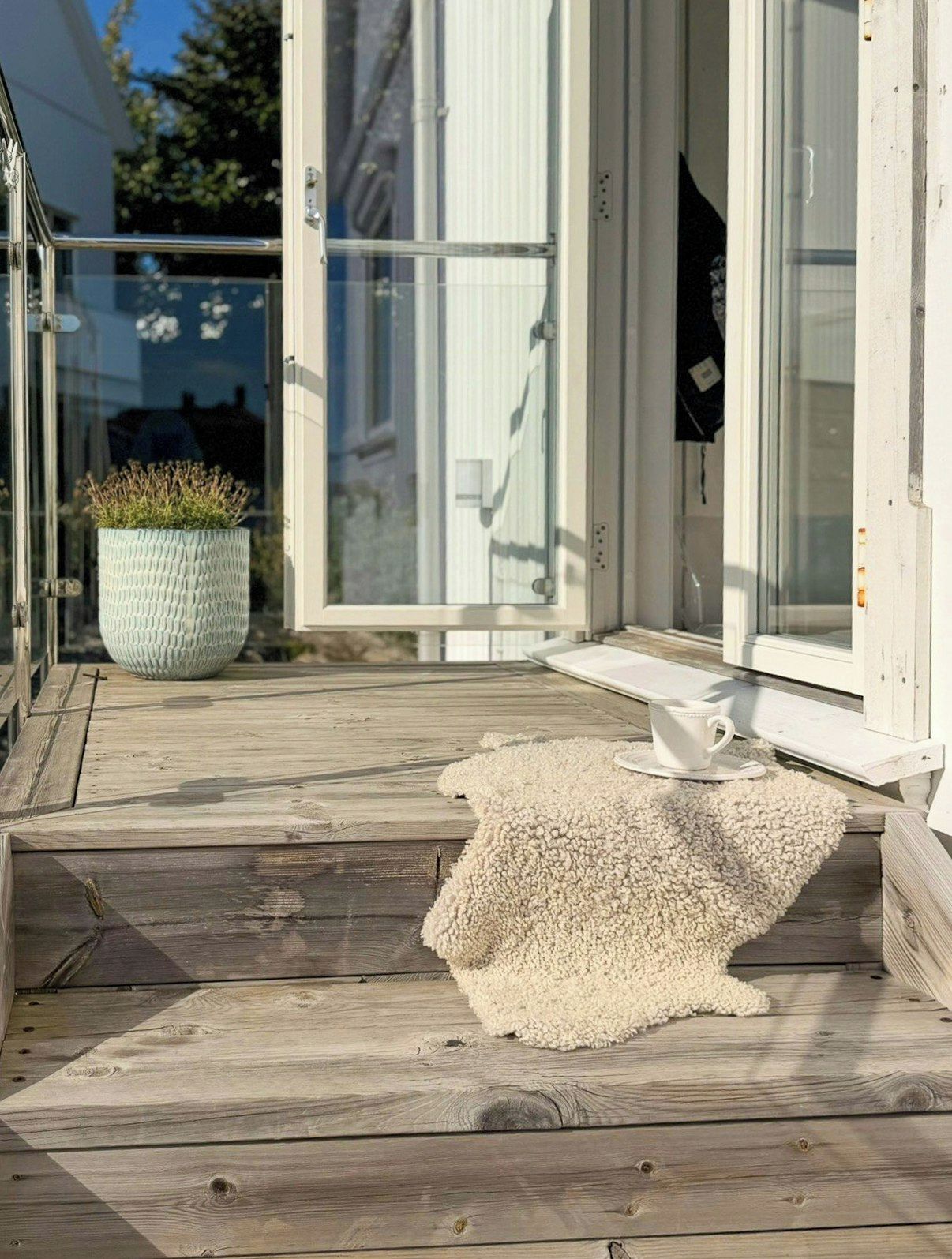A wooden deck with a textured rug, a potted plant, and a cup on a saucer.