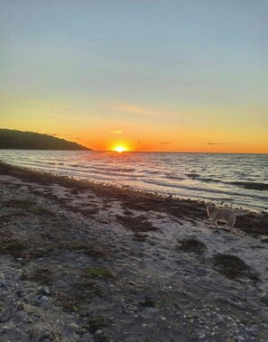 A beach scene with a dog and a sunset. - New holiday home with protected forest behind (Højby)