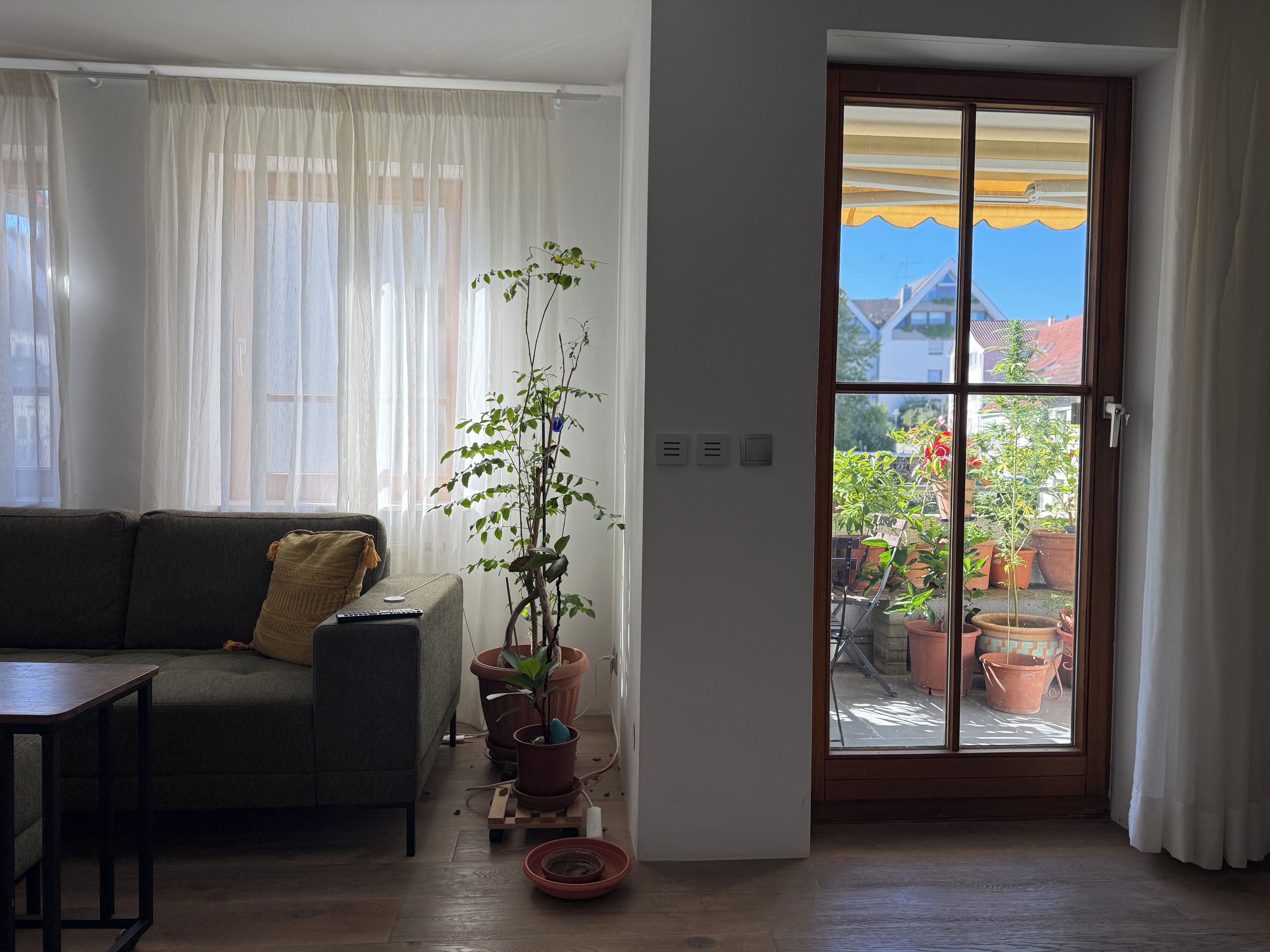 A living room with a sofa, a coffee table, a potted plant, and a sliding glass door leading to an outdoor area with potted plants.