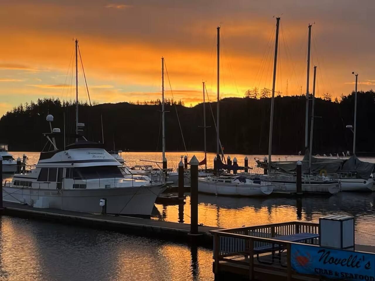 A marina with boats docked, a wooden dock, and a sign for 'Novelli's Seafood'.
