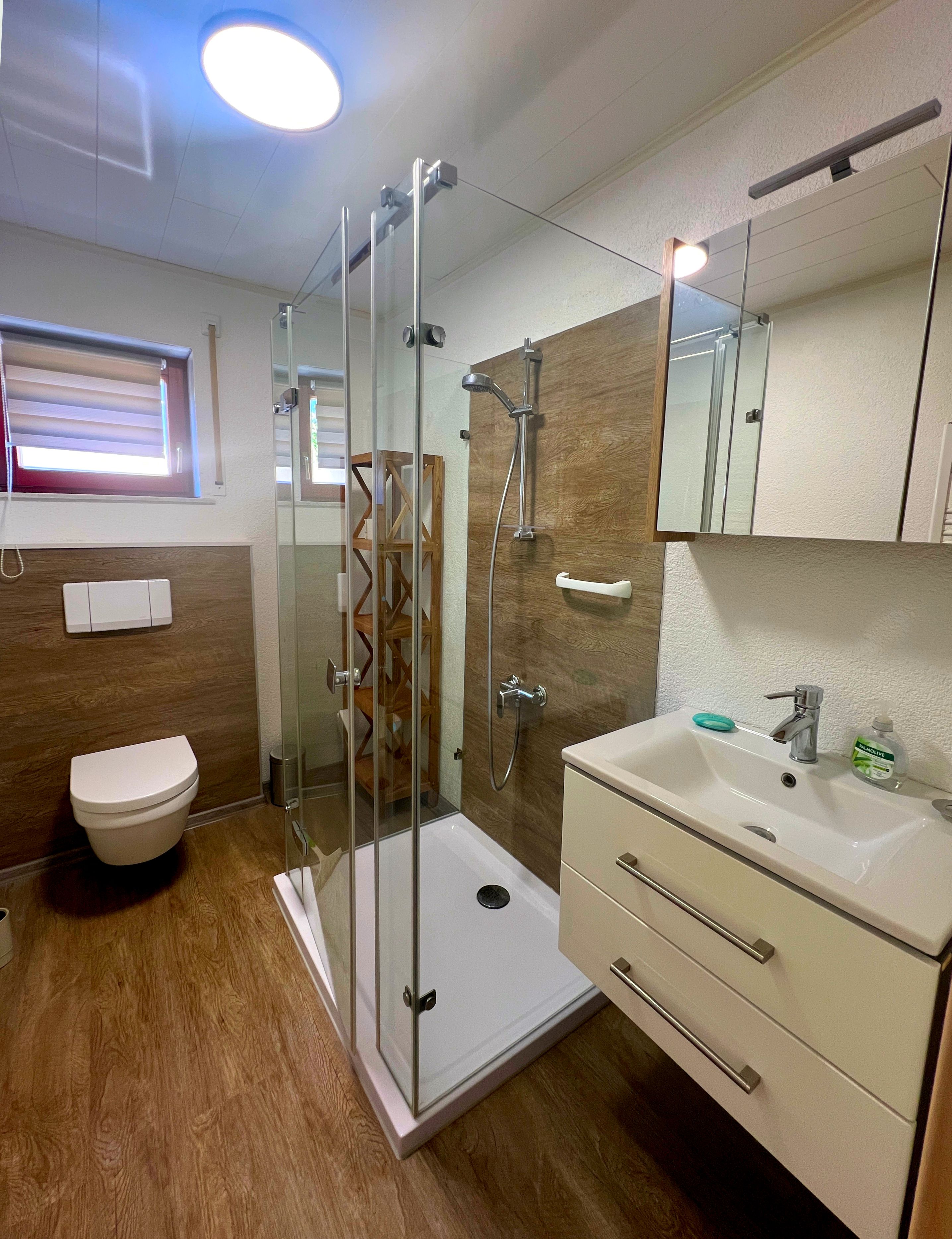 Une salle de bain moderne avec une douche à parois de verre, des toilettes, un lavabo avec un miroir au-dessus et un revêtement de sol en bois.