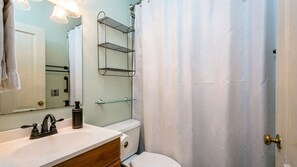A bathroom with a white sink, a mirror, a towel rack, a toilet, and a shower curtain. - GW Natl Forest - King Suite 20 mins to DT Staunton (Churchville)