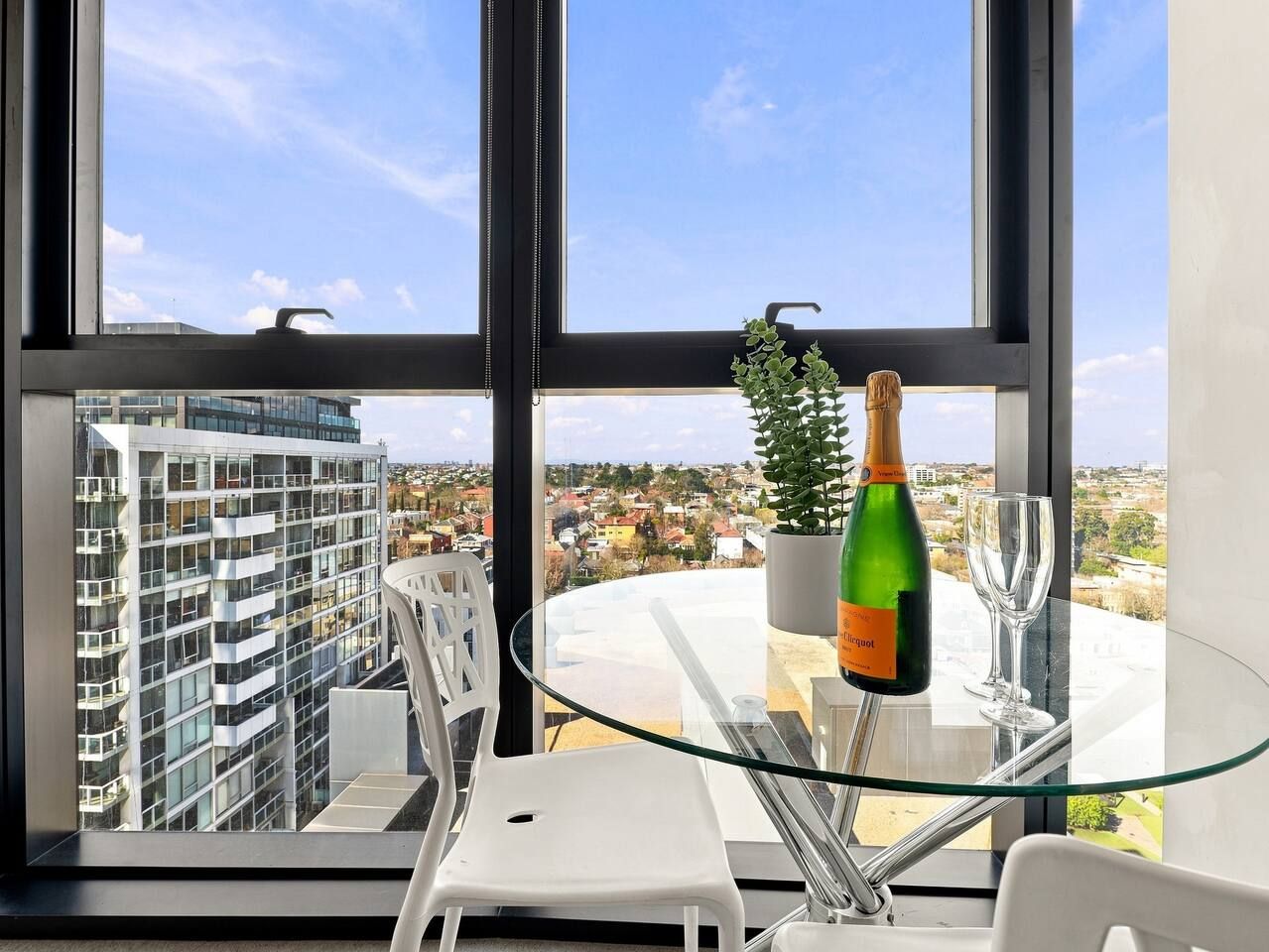 Una habitación moderna con una mesa de vidrio, una botella de champán y una planta en maceta.