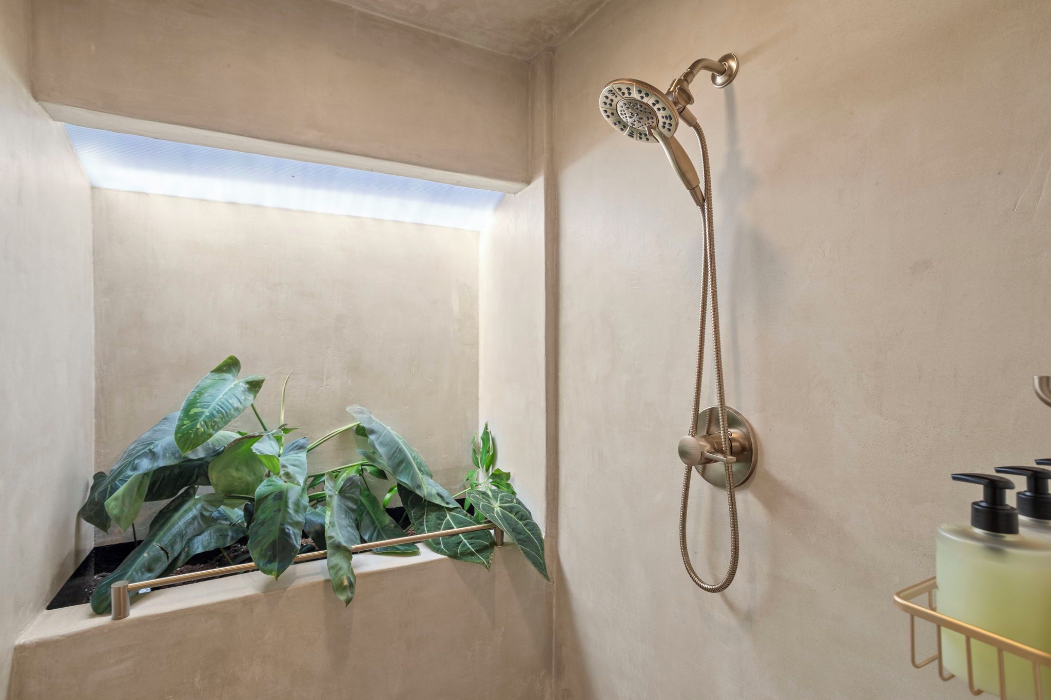 A bathroom with a shower, a window, and a plant.