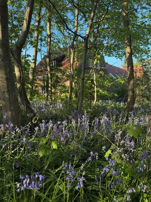 A forested area with a house in the background. - Renovated old school from 1927 close to the sea (Ulfborg)