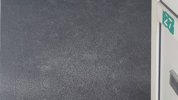 Une pièce dont le sol est recouvert d’une moquette, avec une porte donnant sur une autre pièce et un radiateur fixé au mur.