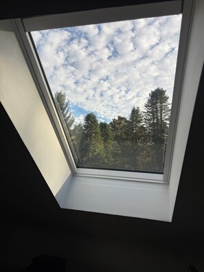 A skylight with a view of a forest and a partly cloudy sky. - Serene 3-bedroom 3-full BR house with Heat in charming Manchester Center, VT. (Manchester)