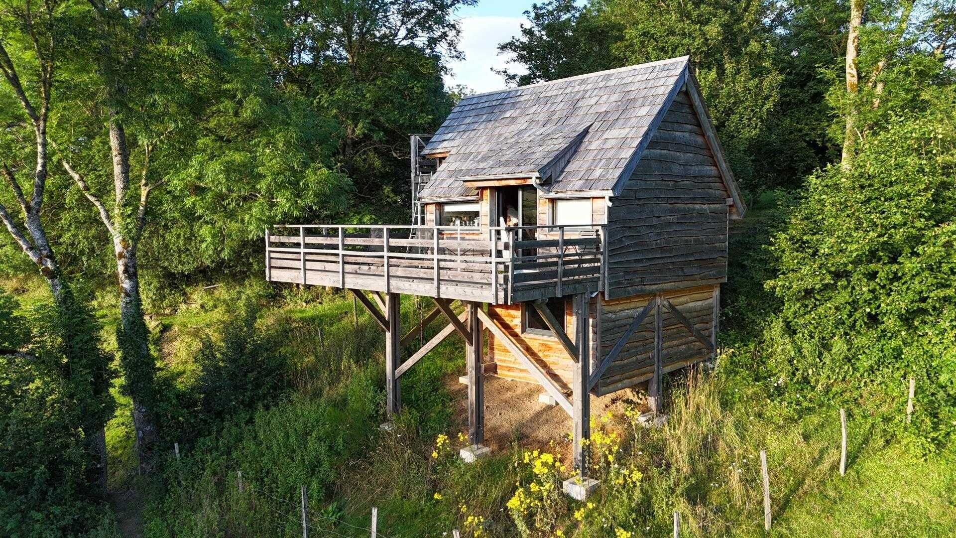 Une cabane en bois dotée d’une terrasse, entourée d’une végétation luxuriante.