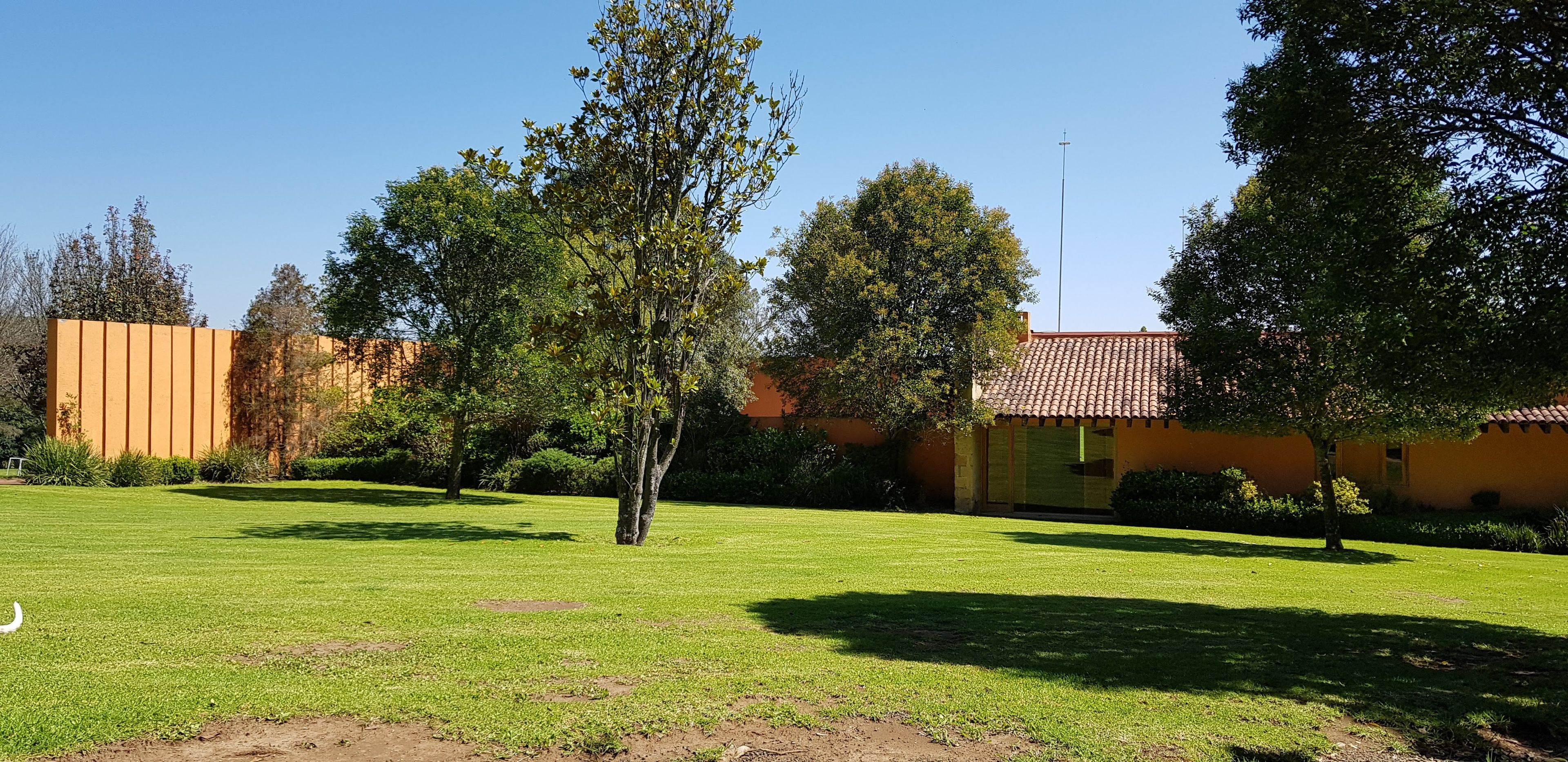 Une zone verdoyante bien entretenue, avec des arbres et un bâtiment doté d’un toit en tuiles.