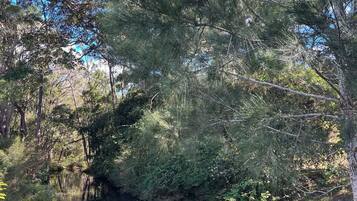 A natural landscape with a body of water, surrounded by dense trees and vegetation.