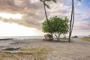 Ein Strand mit einer Palme, einer überdachten Sitzgelegenheit und Blick aufs Meer.