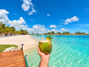 A wooden deck leading to a beach with clear turquoise water, palm trees, and a clear sky. - Lovely 2-bedroom apartment with AC in vibrant Punta Cana (Punta Cana)