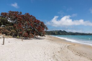 A beach with a tree and a clear sky. - Little Eden by Waiheke Pure (Waiheke Island)