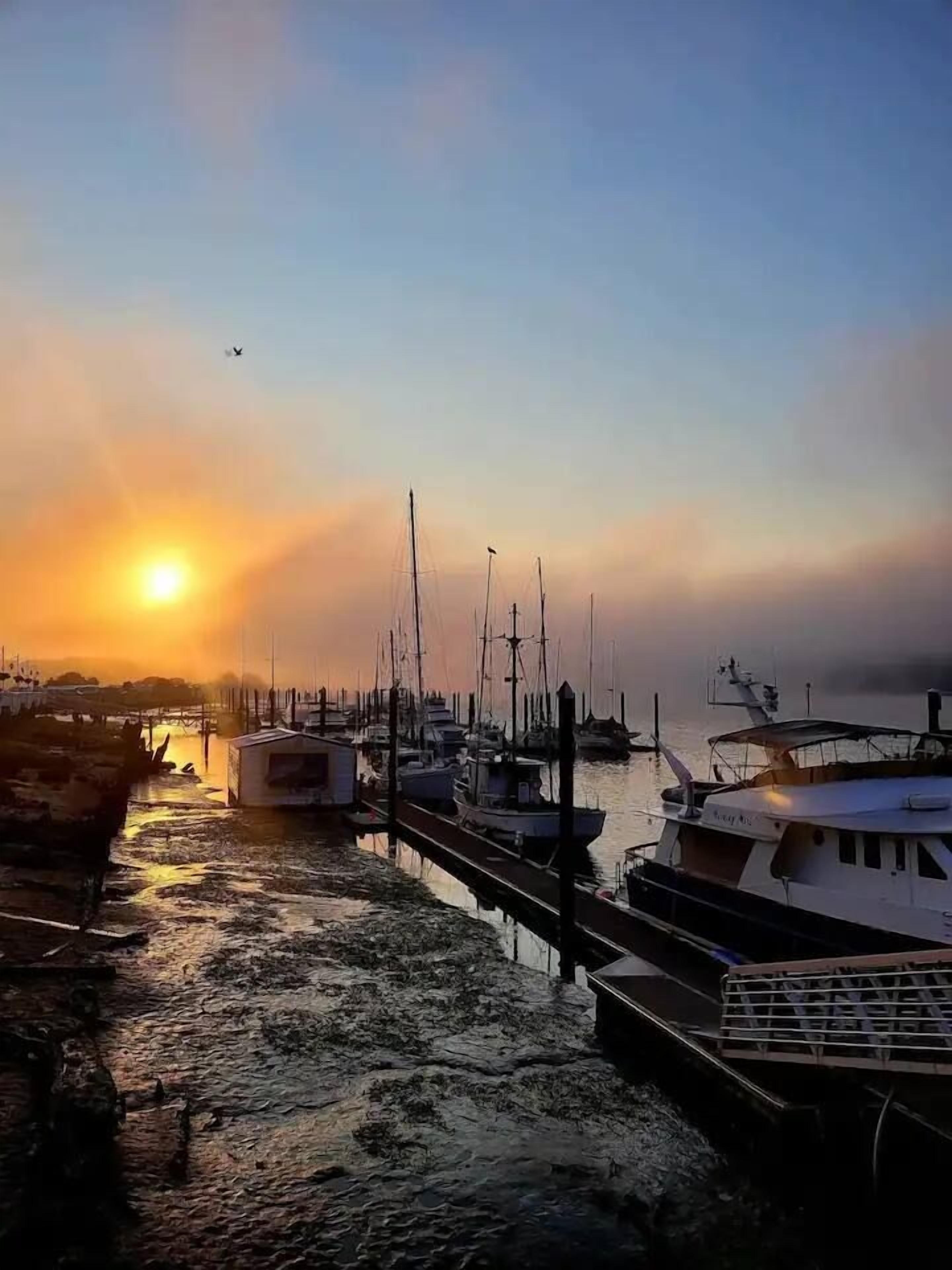 A marina with boats docked, a clear sky, and a sunset.