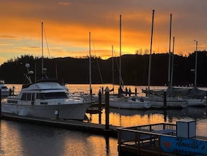 A marina with boats docked, a wooden dock, and a sign for 'Novelli's Seafood'. - Old Town Florence Getaway 2 BRM, Unit 1 (Florence)