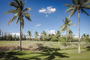 Un parcours de golf bordé de palmiers, sous un ciel dégagé.
