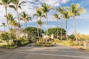 A residential street lined with tall palm trees and houses with manicured lawns. - Desirable Villa Walk 2 beach Light & Bright Heated Pool (Waikoloa Village)