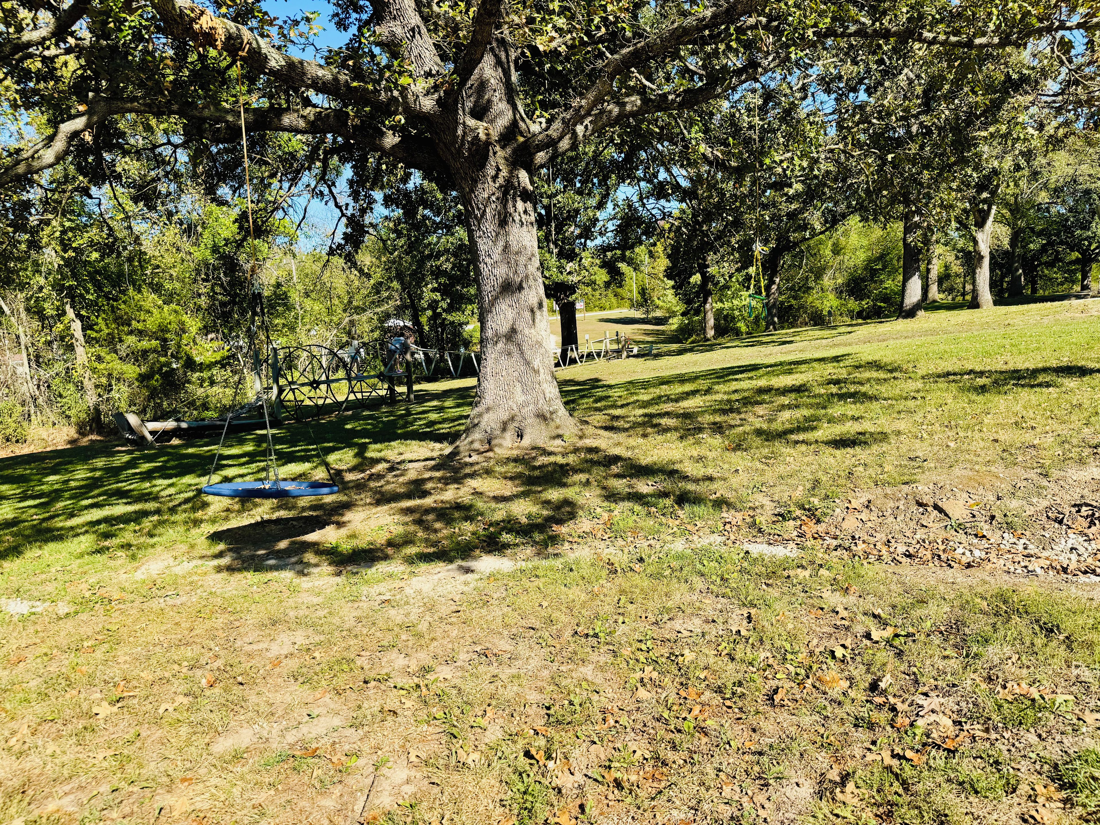 Un parque con un árbol grande, un columpio y una zona verde.