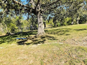 Un parque con un árbol grande, un columpio y una zona verde.