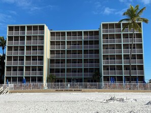 Un hotel de diverses plantes amb balcons, una platja sorrenca a davant i una palmera.