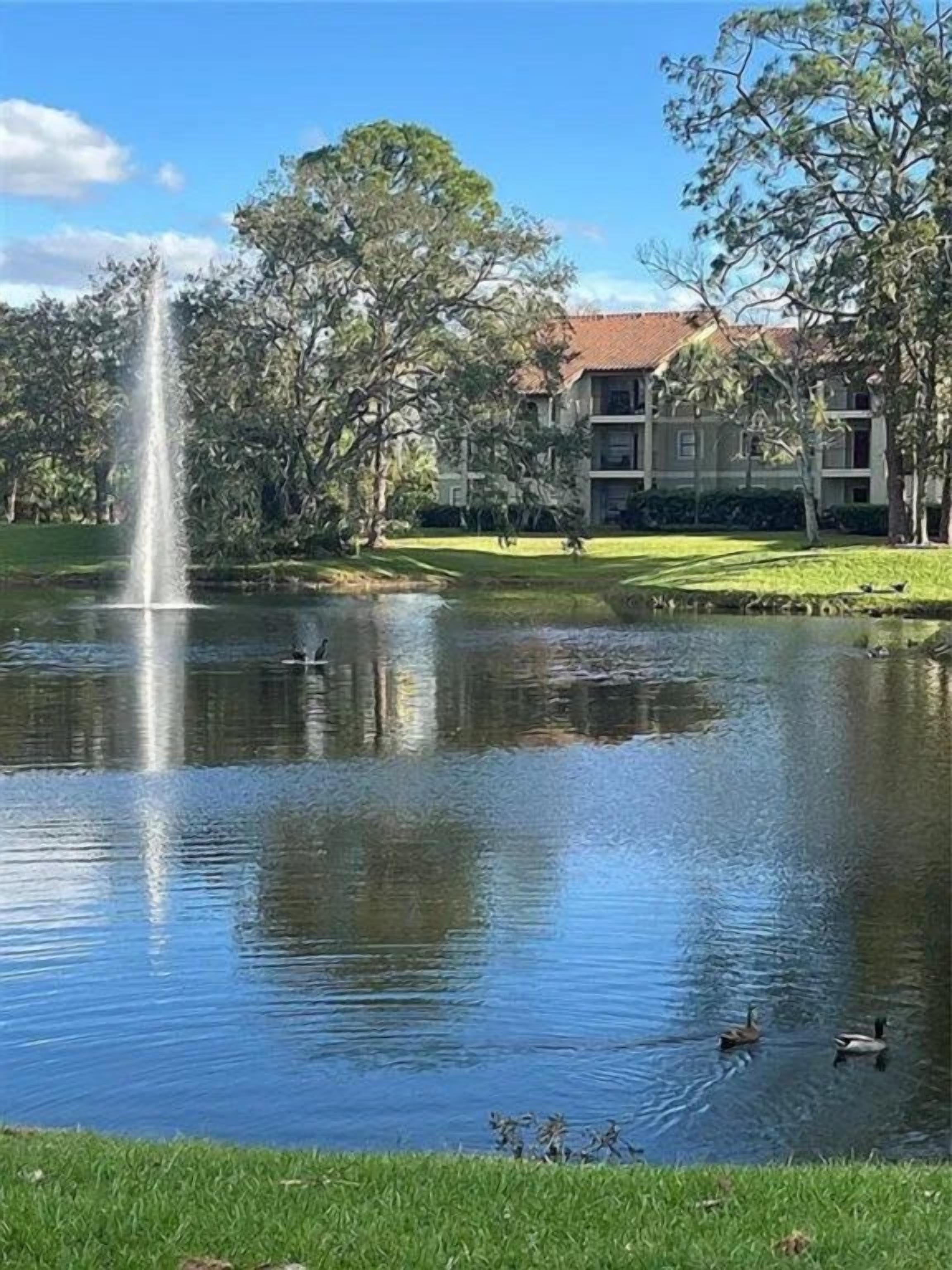Un estanque tranquilo con una fuente, patos y un edificio al fondo.
