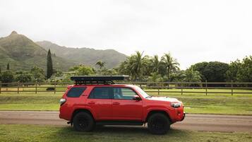Um SUV vermelho estacionado numa área gramada com uma cerca de madeira e palmeiras ao fundo.