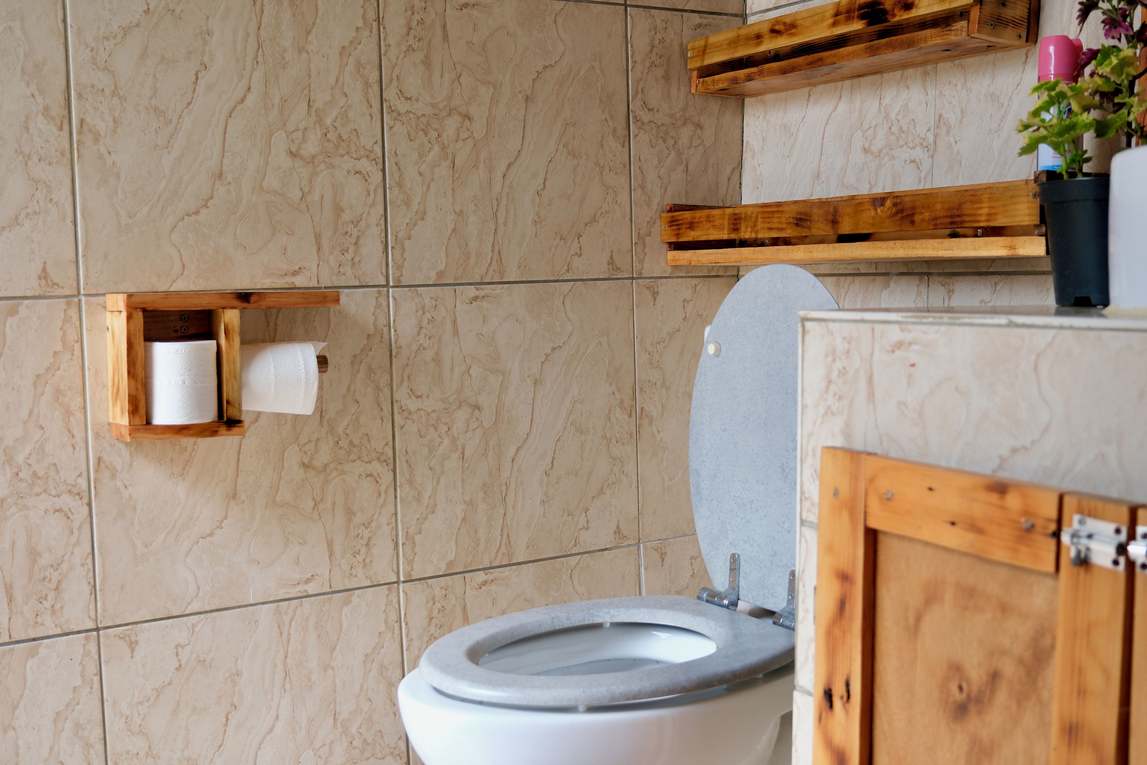 A bathroom with a toilet, a wooden shelf, and a toilet paper holder.