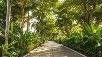 A pathway lined with various tropical plants and trees, leading towards a distant point.