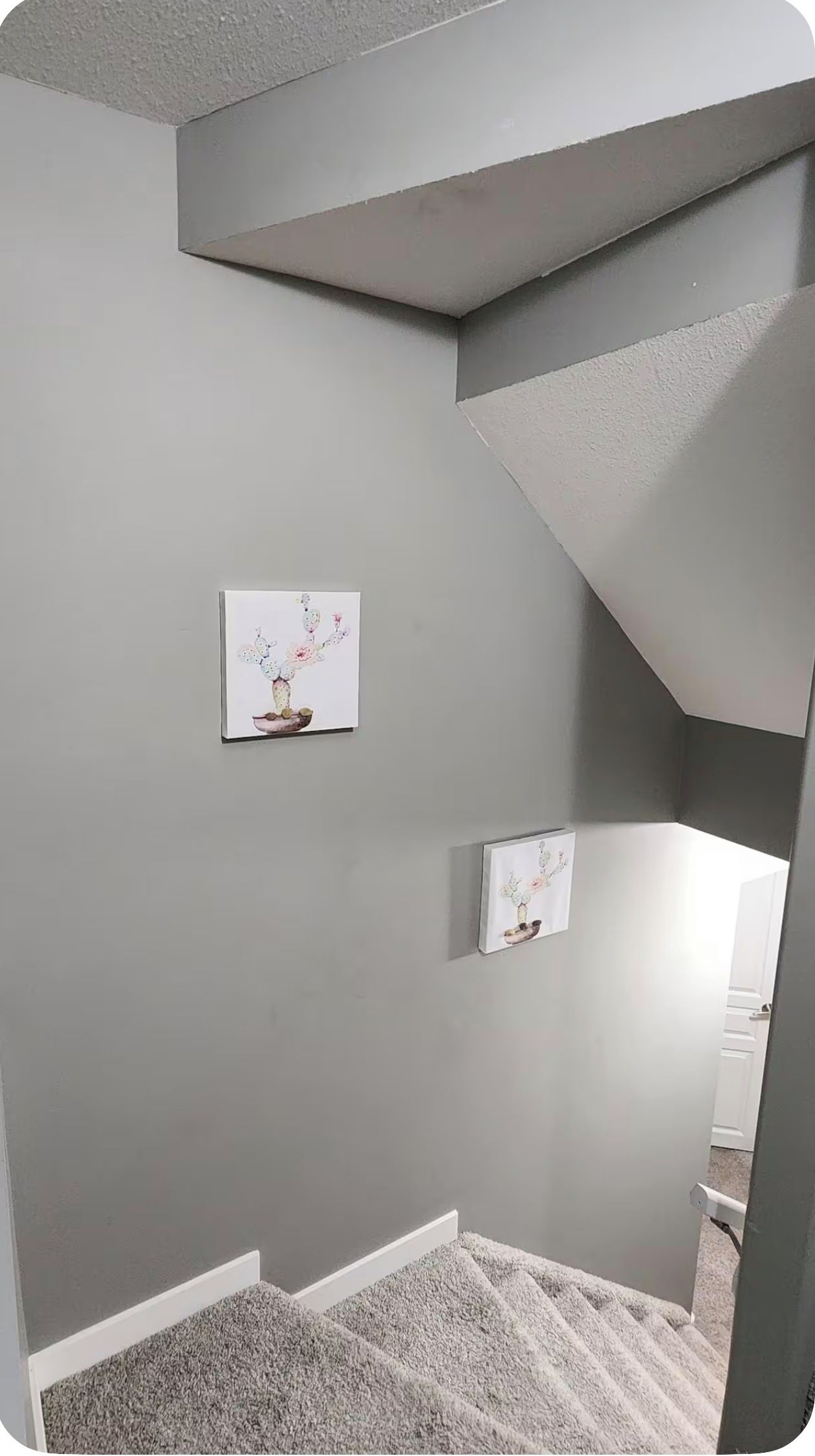 A room with a gray wall, a framed picture of a cactus, and a white door.