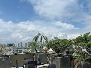 A rooftop terrace with outdoor seating, a palm tree, and a city skyline in the background.
