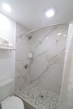 Bathroom - Mustang Queen Bedroom in the Heart of SLO (San Luis Obispo)