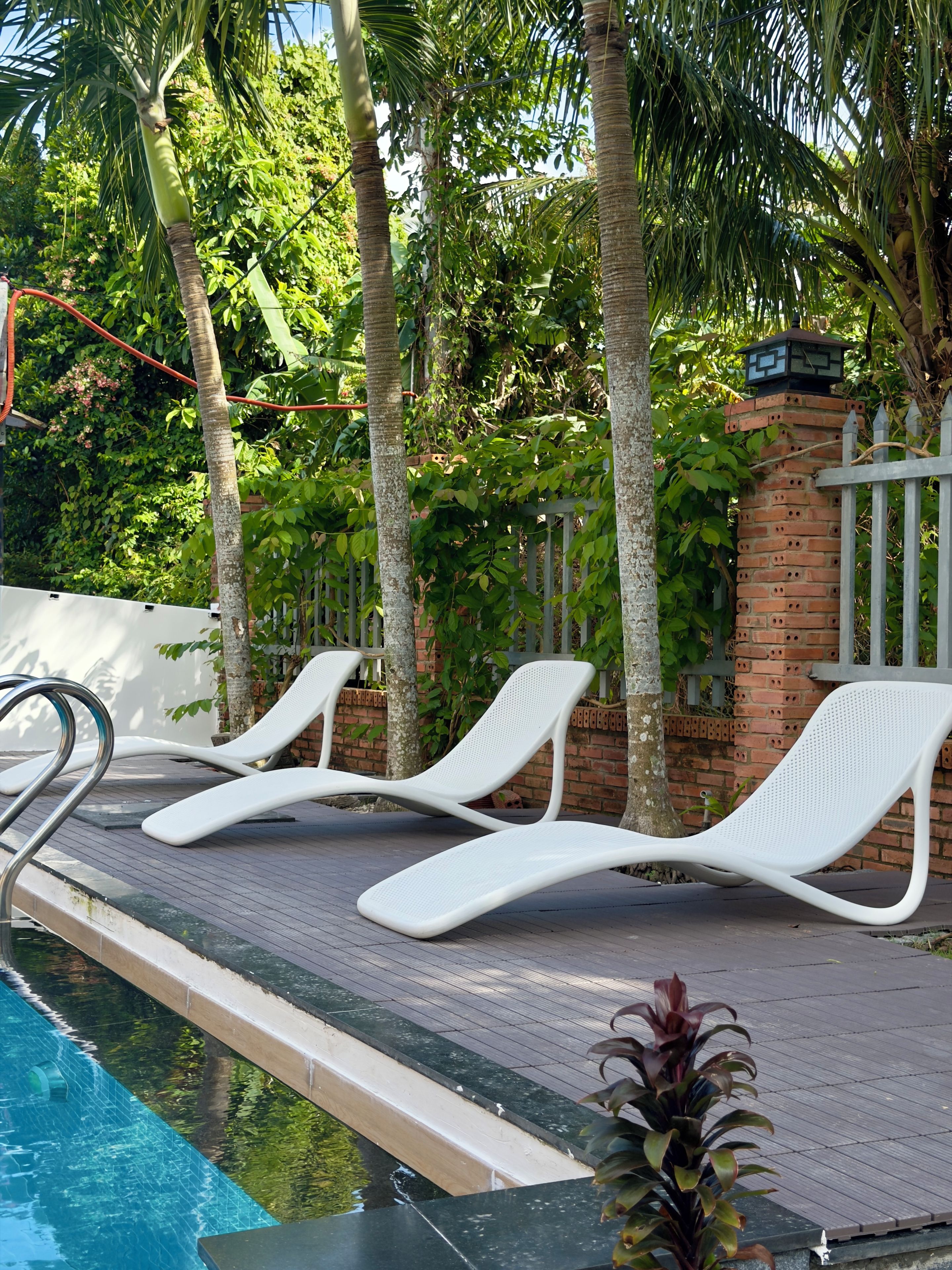 A poolside area with lounge chairs, a brick wall, and a palm tree.