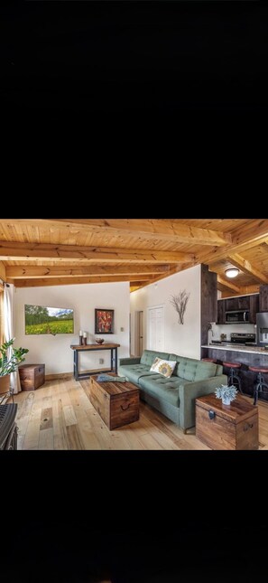 Living area - Fantastic 3-bedroom ski in ski out condo in Keystone perfect for your getaway (Dillon)